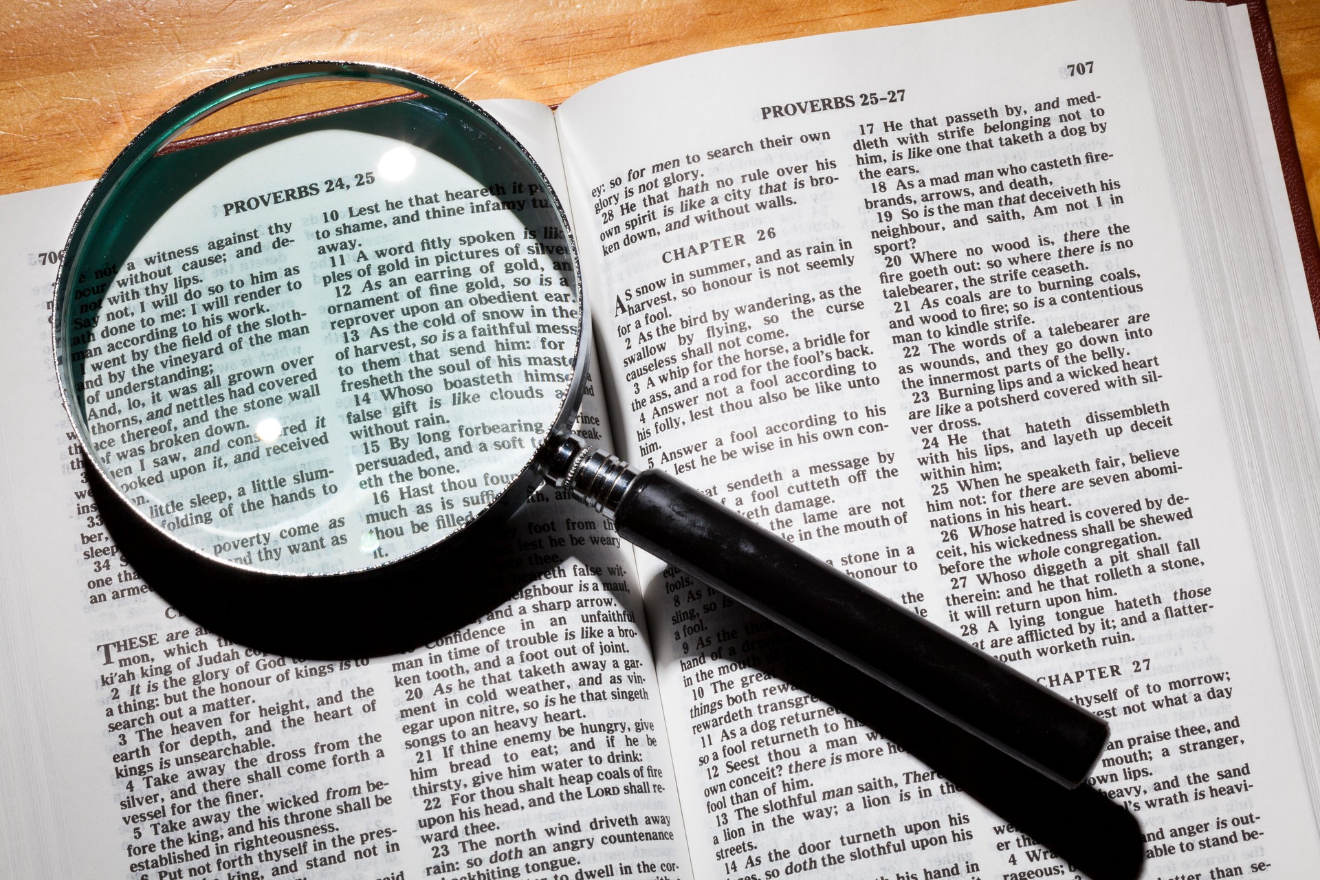Bible under the scope